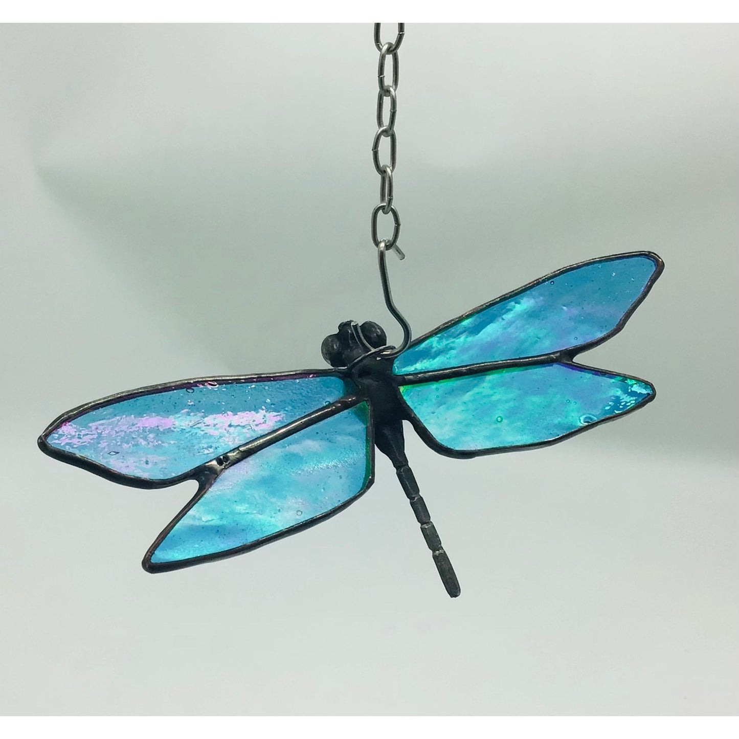 Glass Wings for Dragonfly