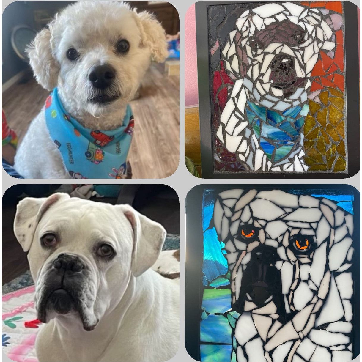 Mosaic Your Pet - Wed, Jun 10, 2026