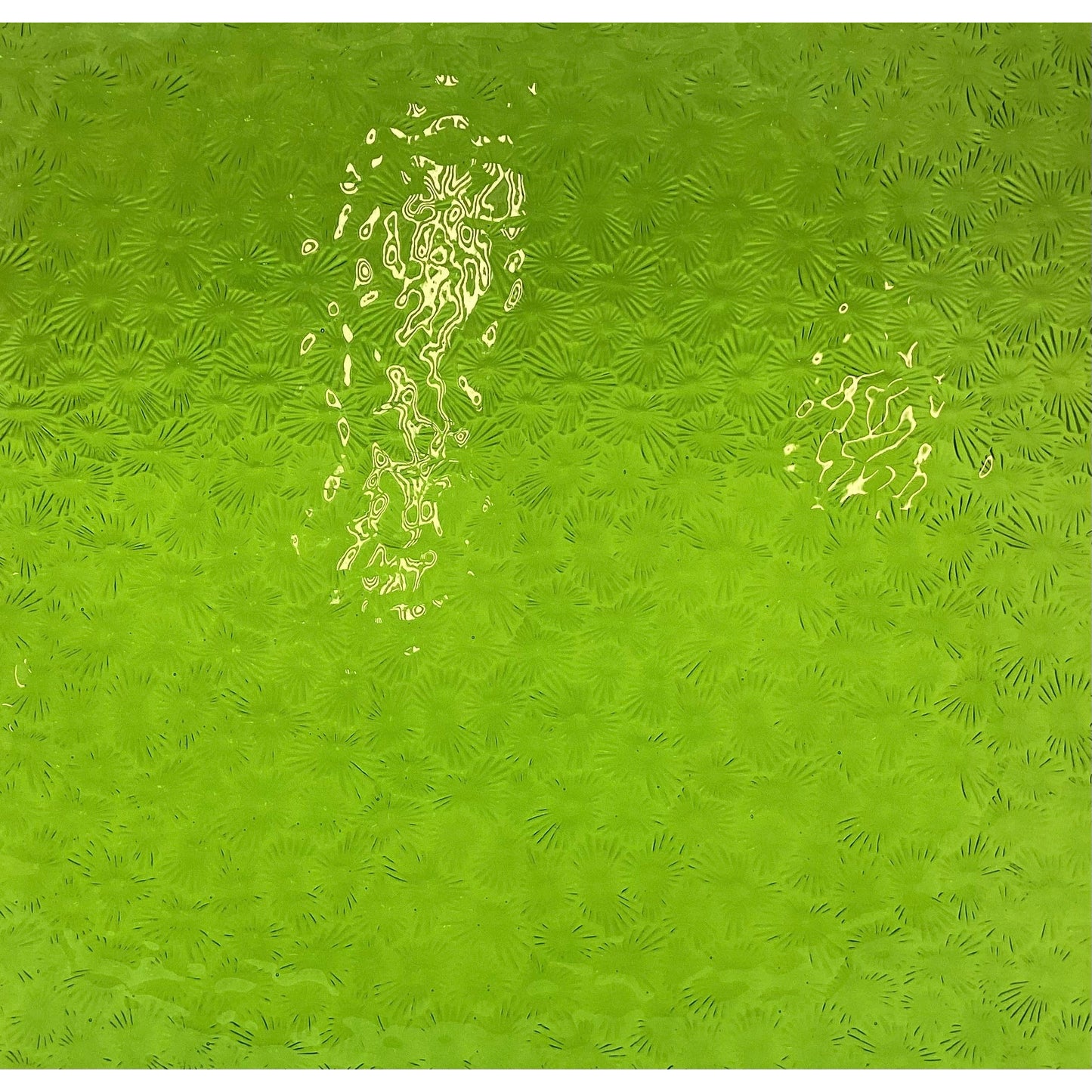 PW 1146FLOR