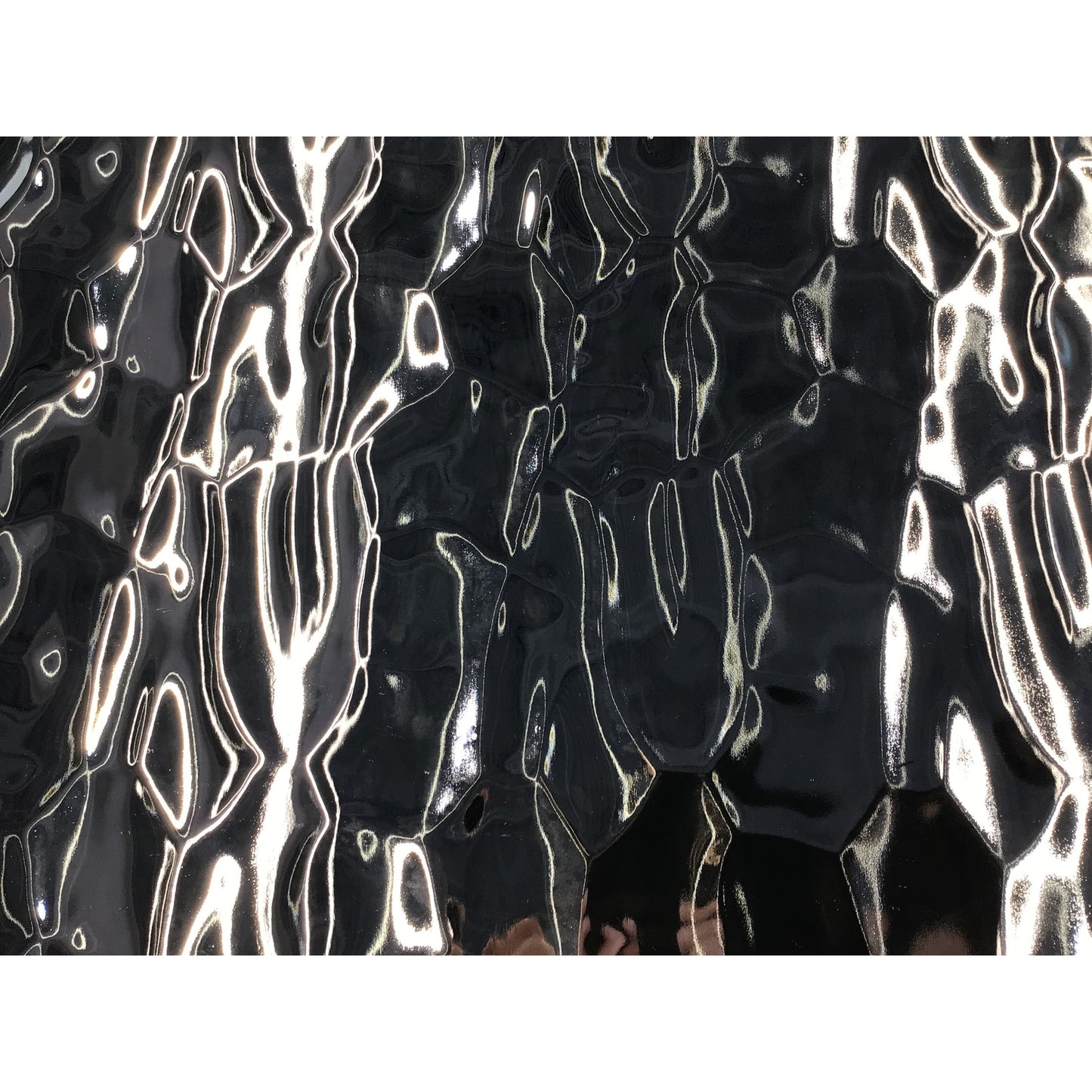 Flemish Silvercoat