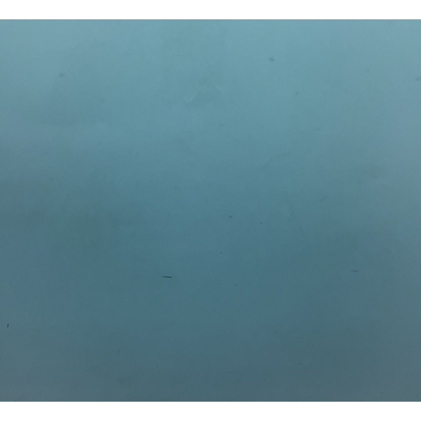 OGT 538.4S-F