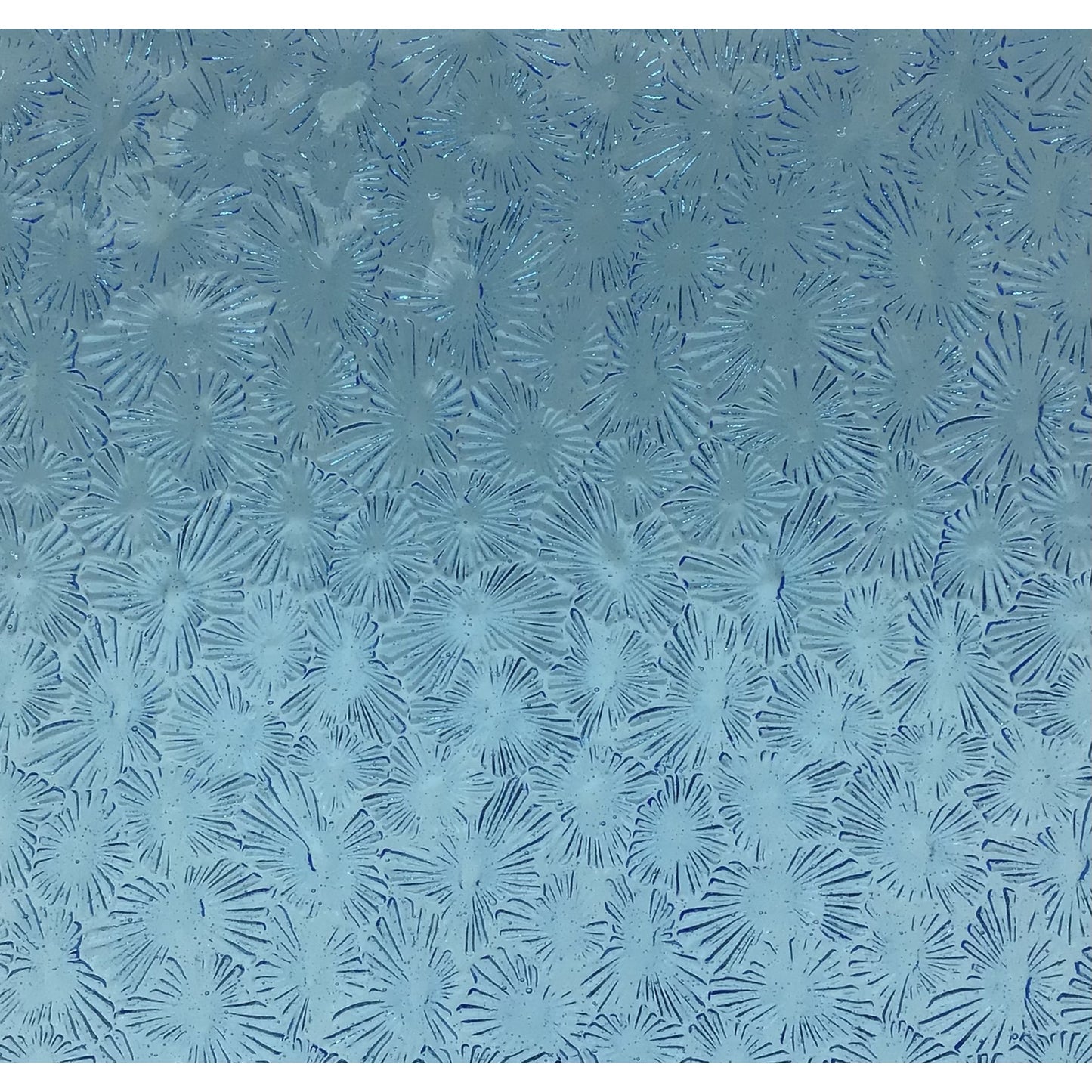PW 300FLOR