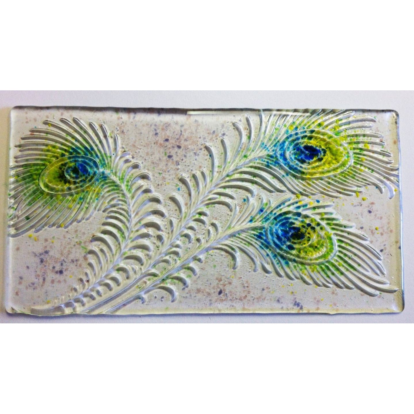 DT08 Creative Paradise Peacock Feathers Texture Mold