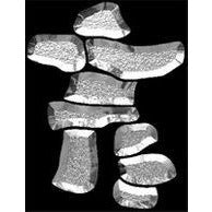 GST-30 Inukshuk