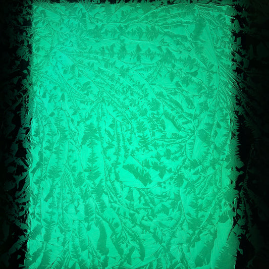 PW Palm Tree Glue Chip