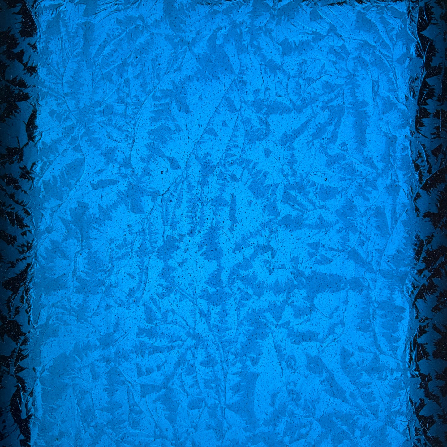 PW Tropical Sea Glue Chip