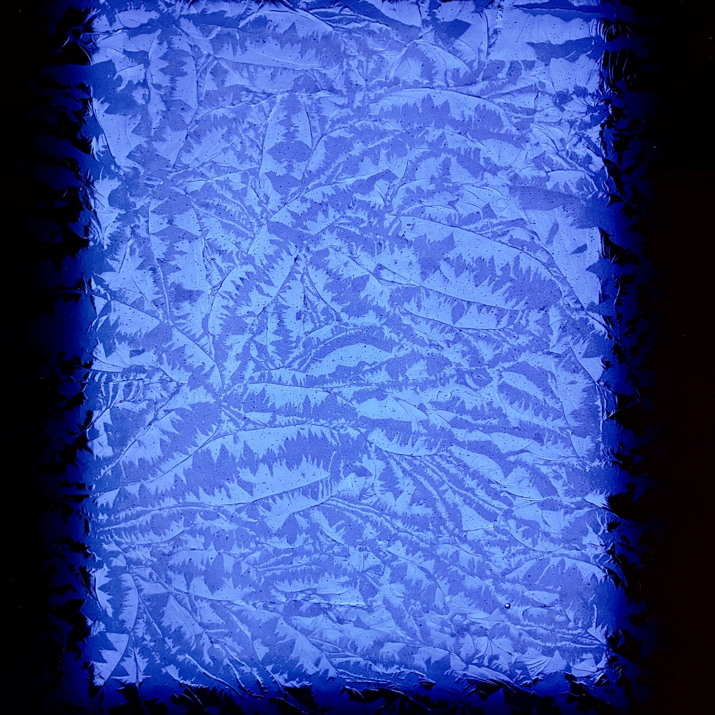 PW Blueberry Glue Chip