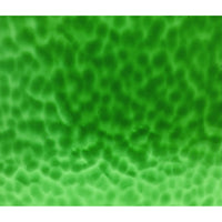 OGT Fusible Range Colours