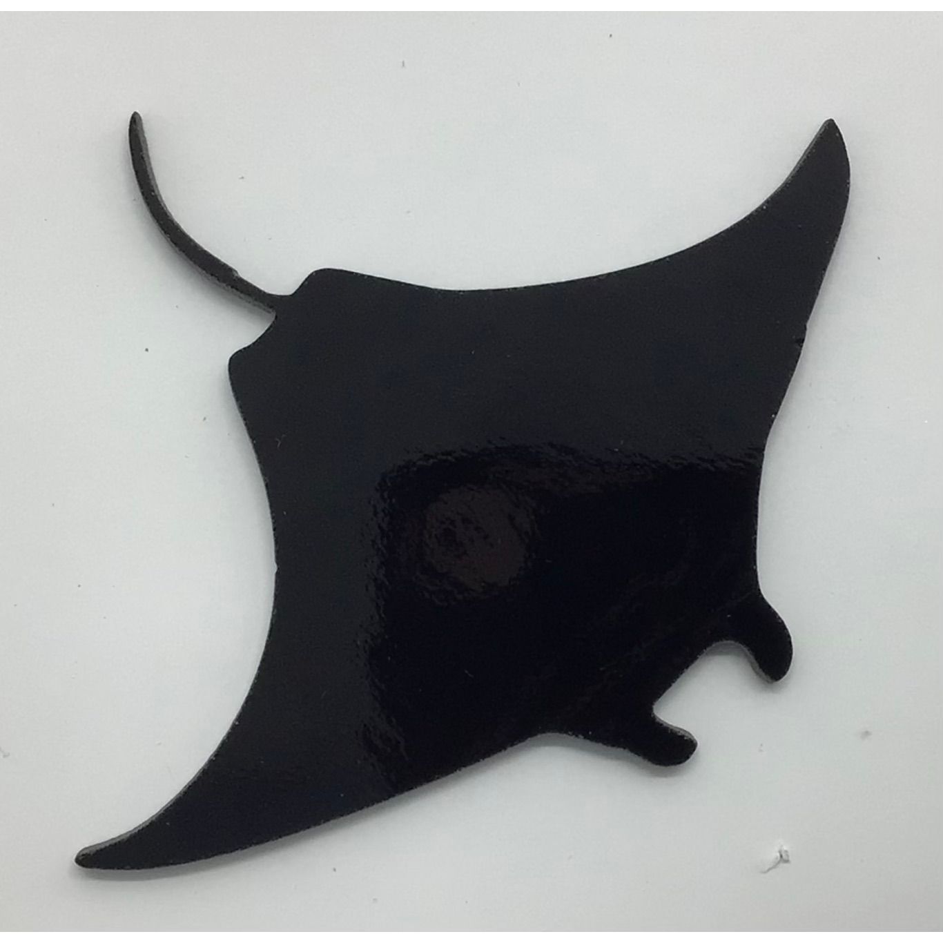 Pre-cut Fun Glass Designs - Undersea Designs