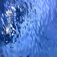 Oceanside 130.8W-SC, Pale Blue Waterglass Silvercoat