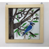 Framed Blue Jay - Wed, Jan 22, 2025