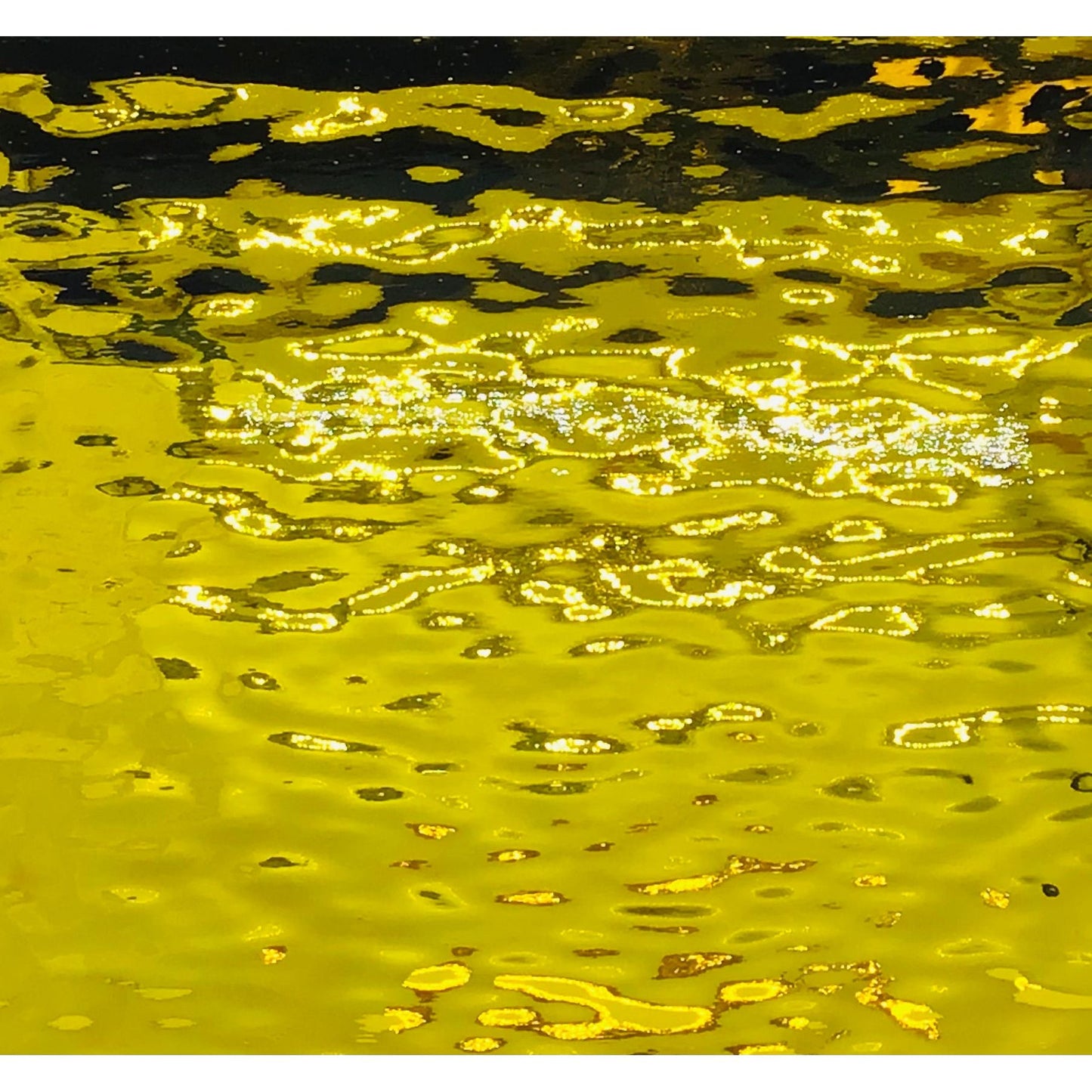 OGT 161W-SC Silvercoat