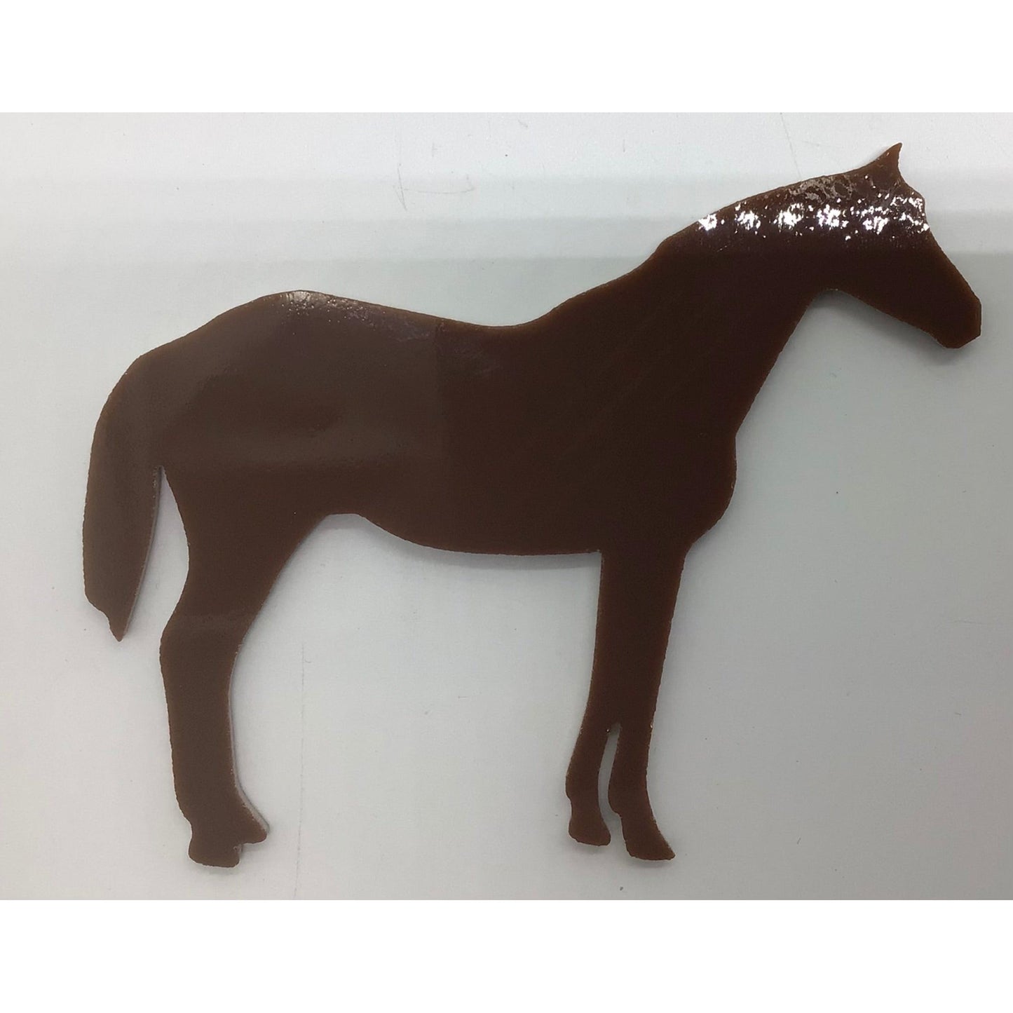 Pre-cut Fun Glass Designs - Animal Life