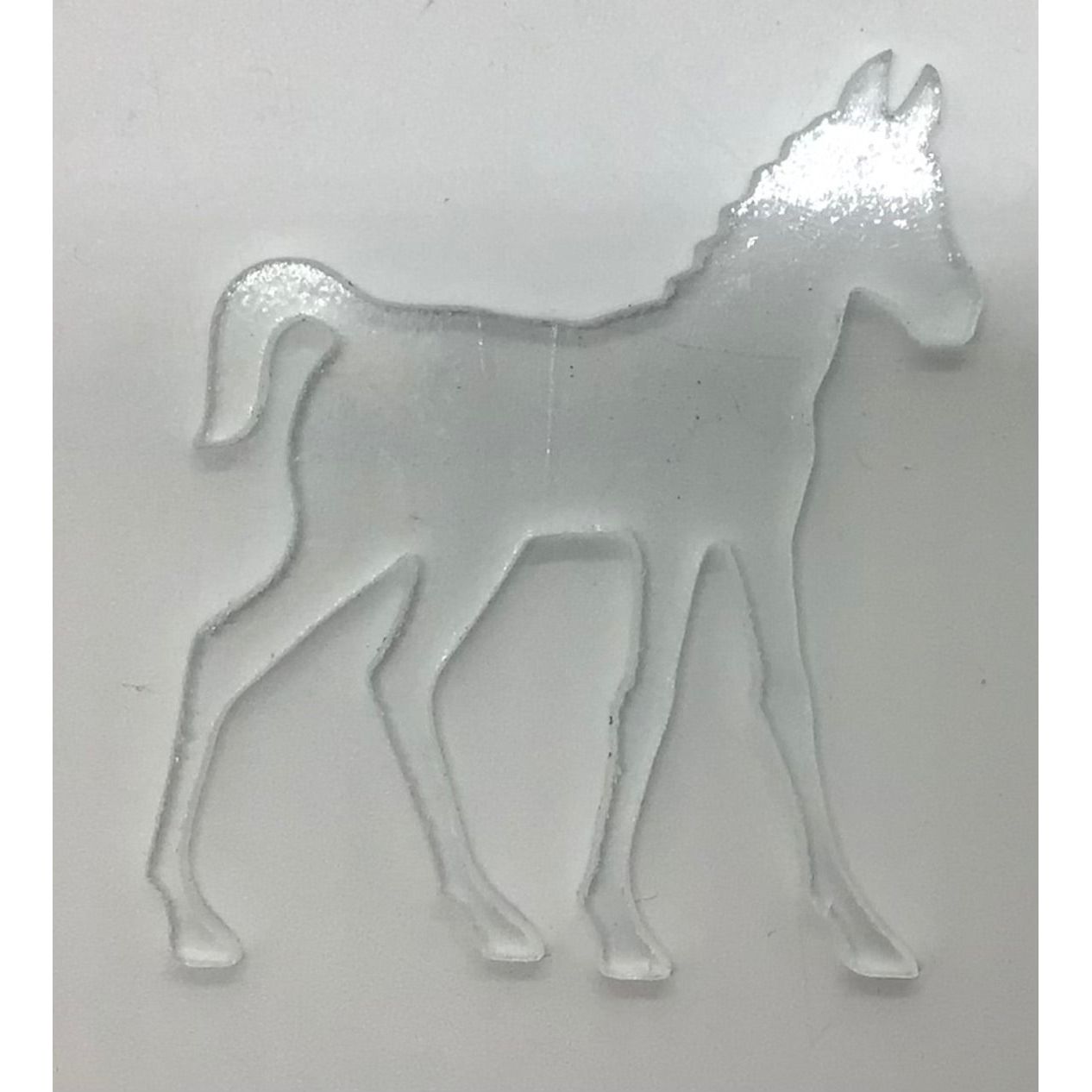 Pre-cut Fun Glass Designs - Animal Life