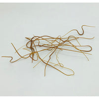 Vitrograph