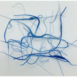 Vitrograph