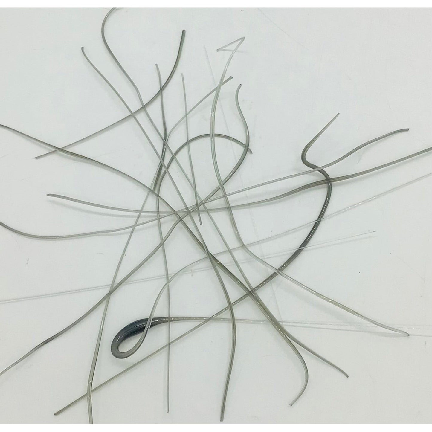Vitrograph