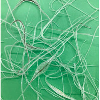 Vitrograph