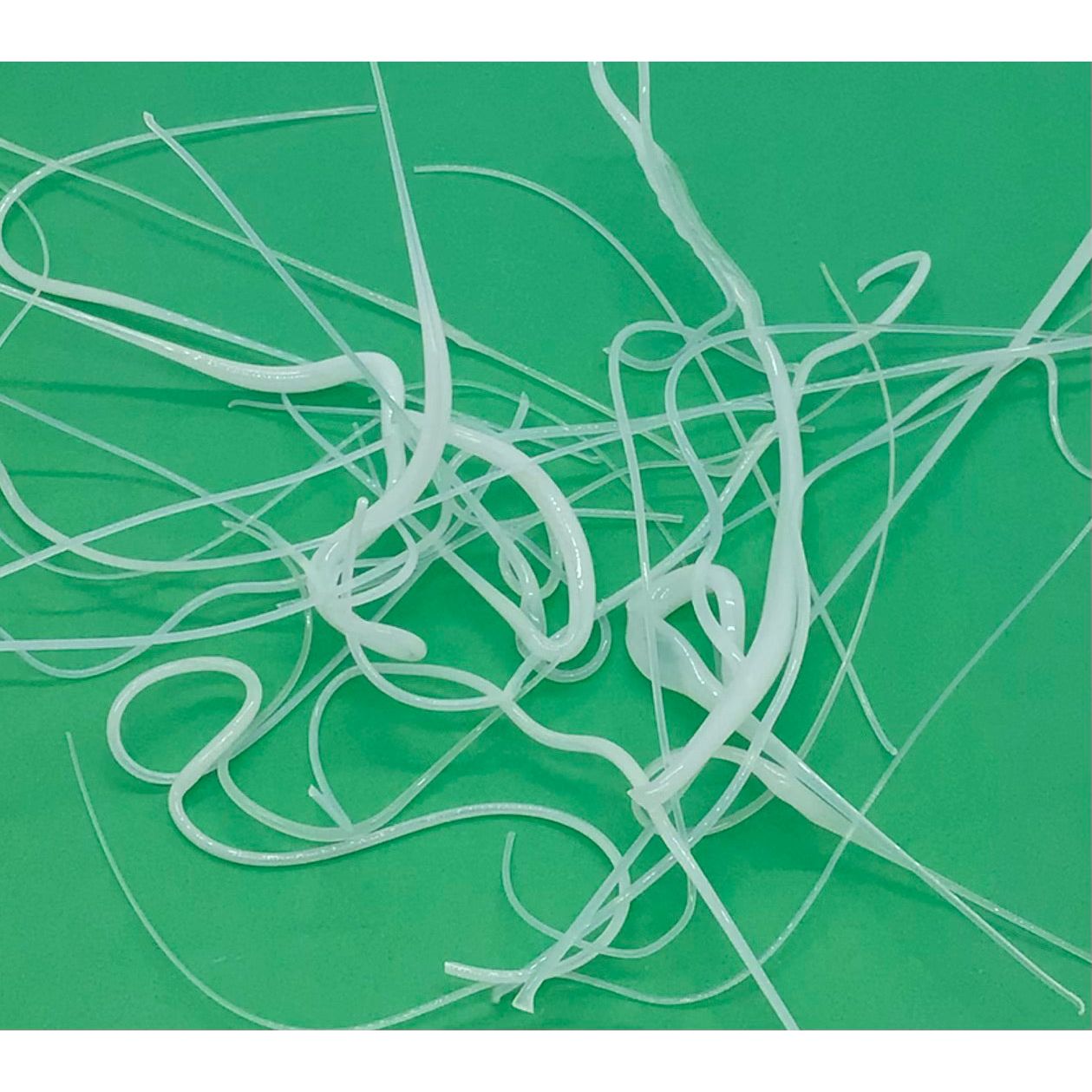 Vitrograph