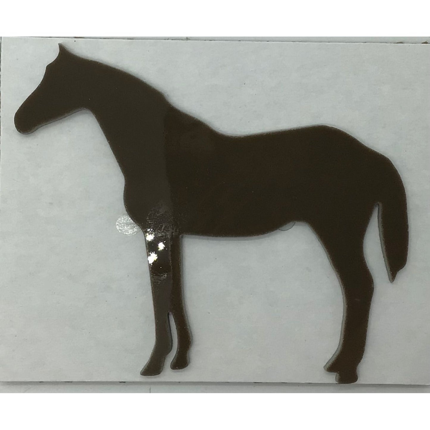 Pre-cut Fun Glass Designs - Animal Life