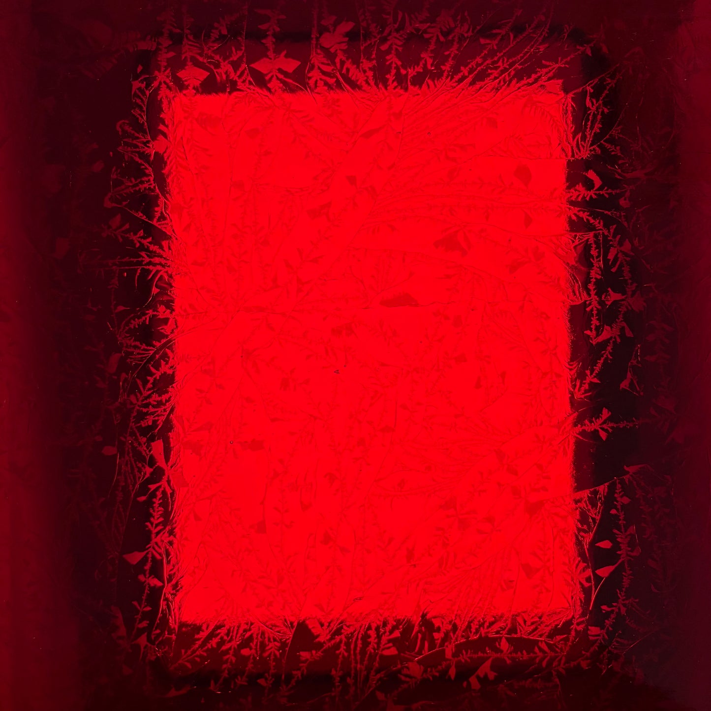 PW Lobster Red Glue Chip