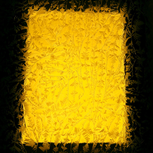 PW Lemondrop Glue Chip