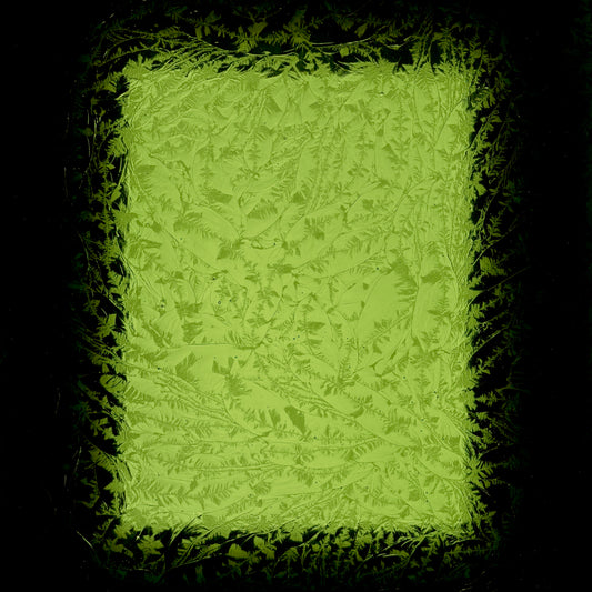 PW Evergreen Glue Chip