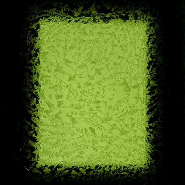 PW Evergreen Glue Chip