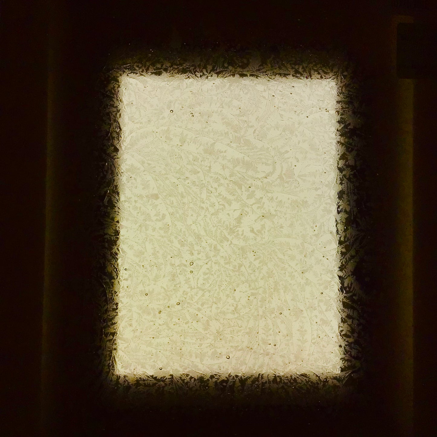 PW Ginger Ale Glue Chip