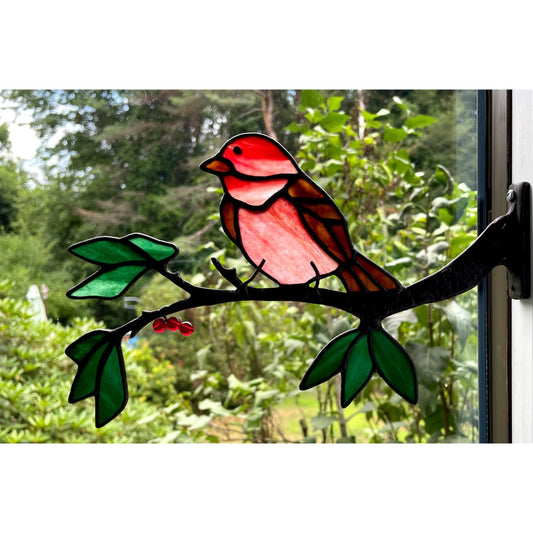 Purple Finch Kit