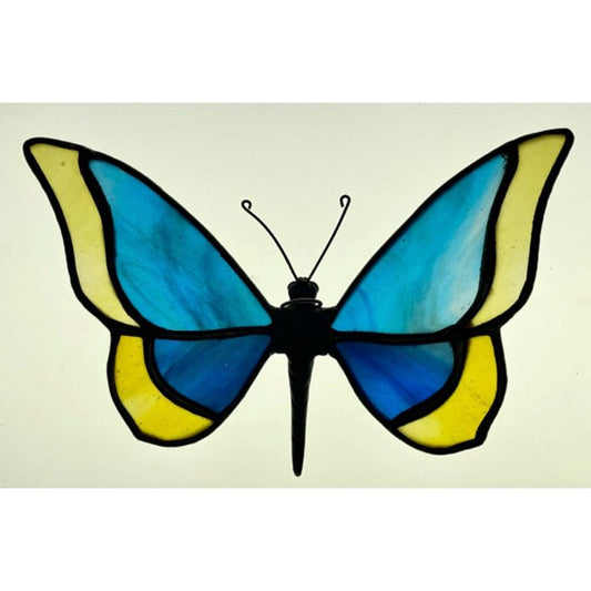 Butterfly 2-pack Kit