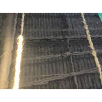 GNA Champagne Silvercoat