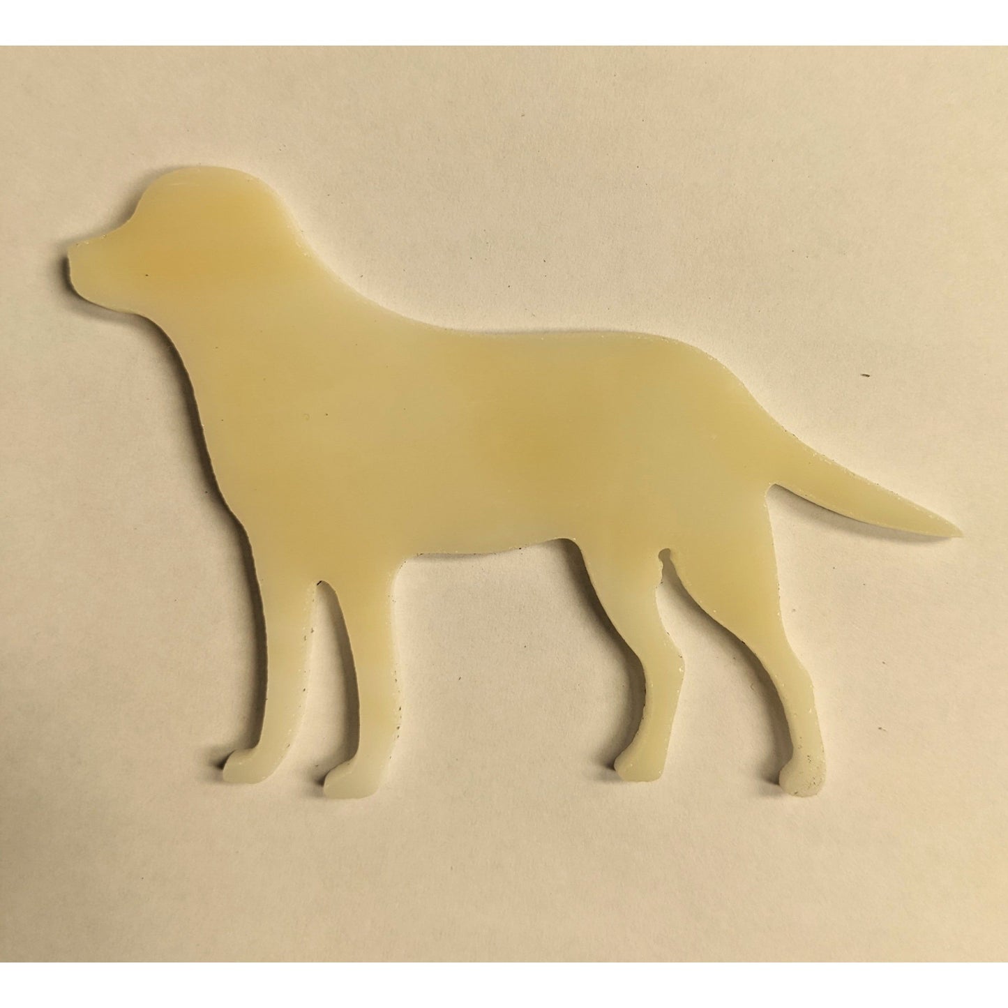 Pre-cut Fun Glass Designs - Animal Life