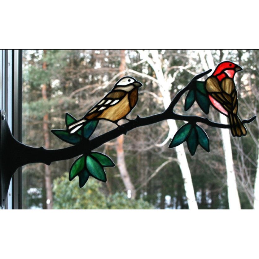 Purple Finches Kit