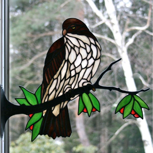 Red-Tailed Hawk Kit