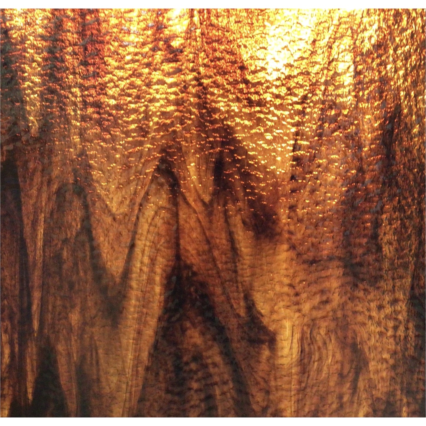 OGT 411.15G-F