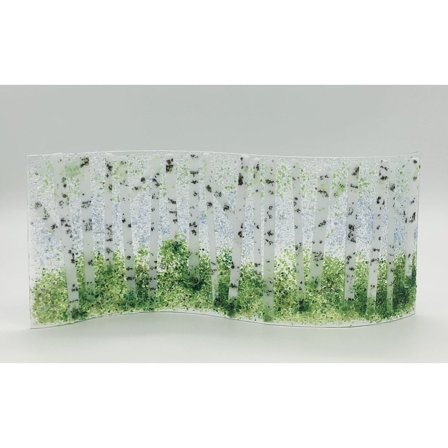 Fused Birch Trees