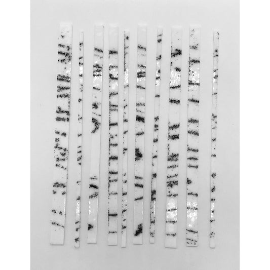 Fused Birch Trees