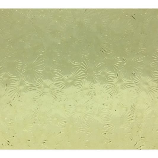 PW 0002FLOR