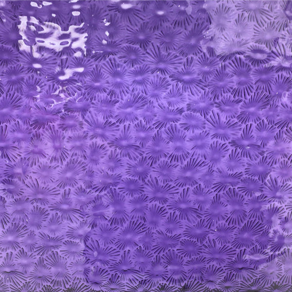 Wissmach 311V FLOR, Violet Purple Florentine
