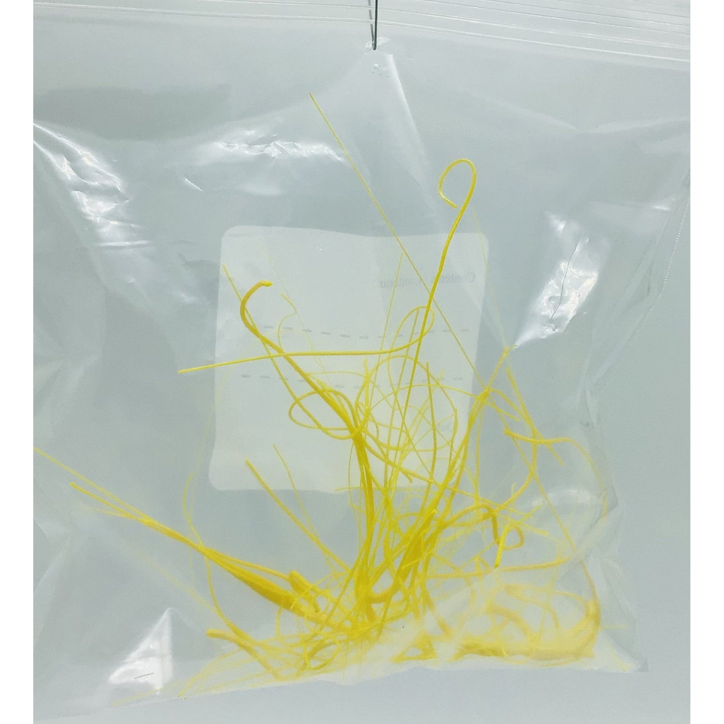 Vitrograph