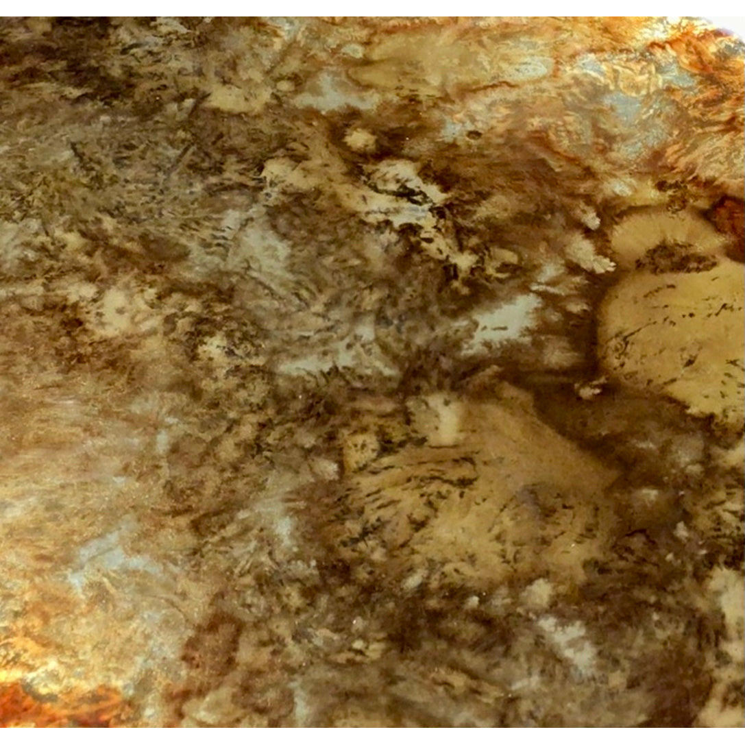Specchio d'Oro