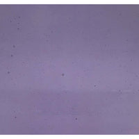 Wissmach 218DR, Lilac Purple Double Rolled Transparent