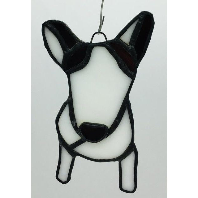 Black & White Dog