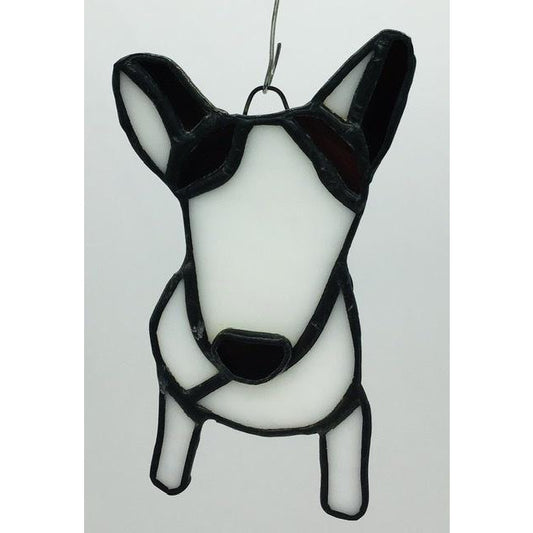 Black & White Dog