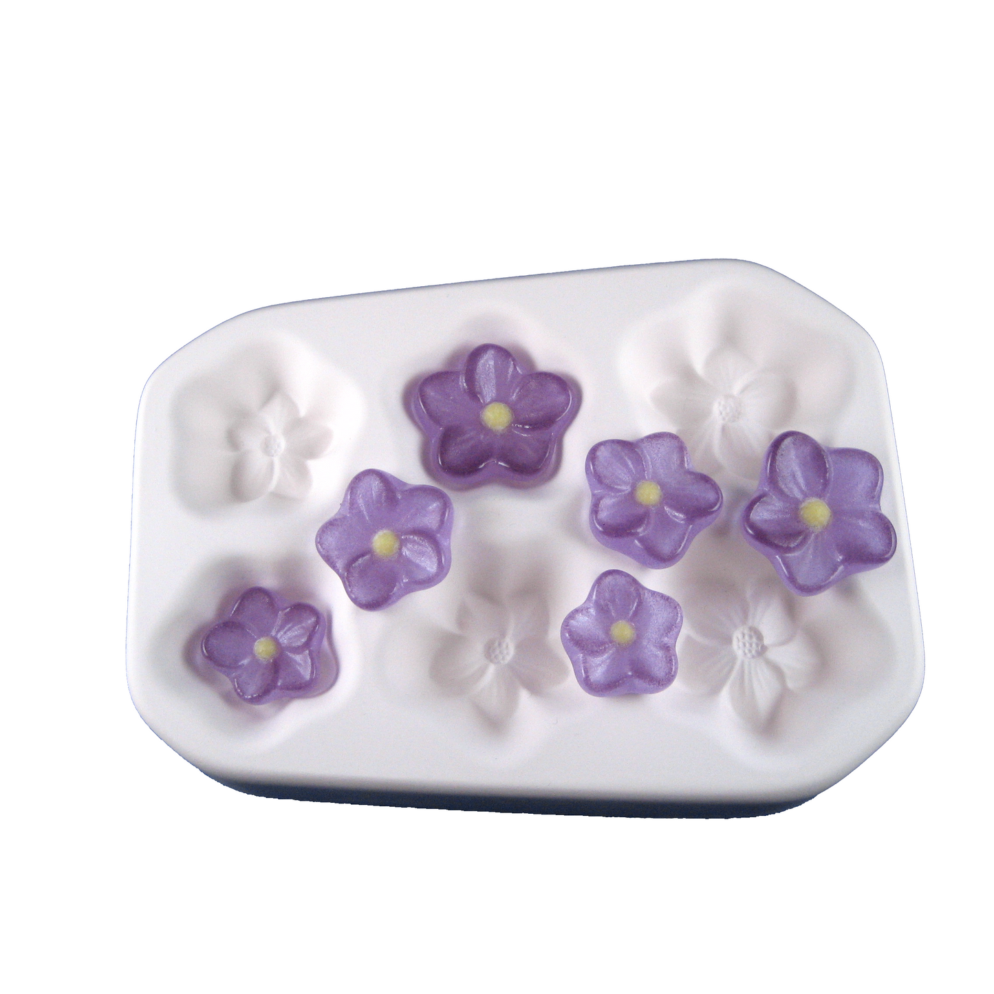 Colour de Verre Blossoms (6) Mold