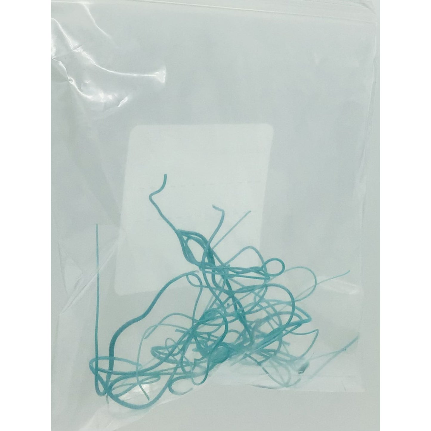 Vitrograph