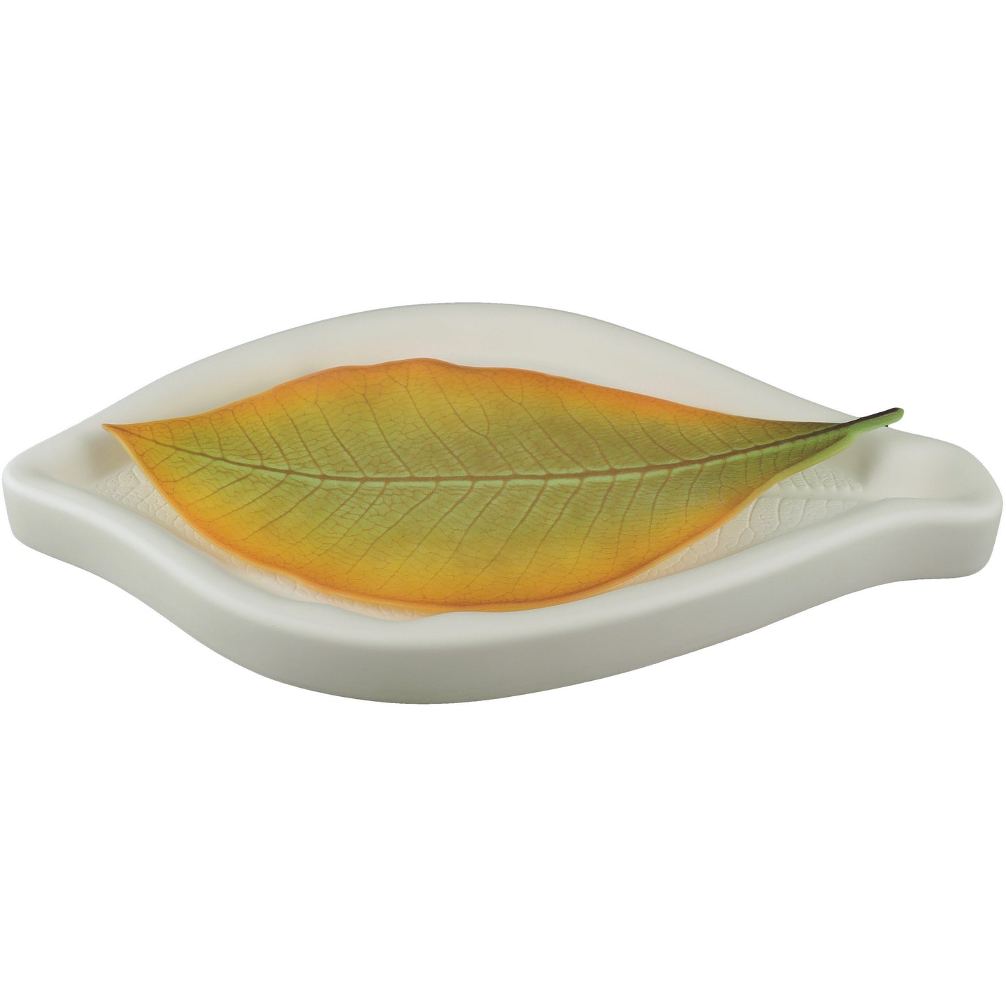 Colour de Verre Cloud Forest Magnolia Mold