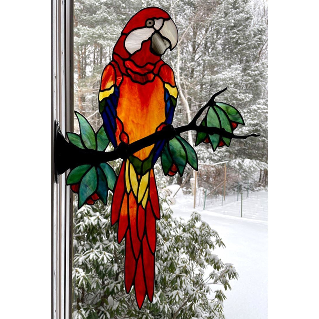 Crackers the Parrot Kit