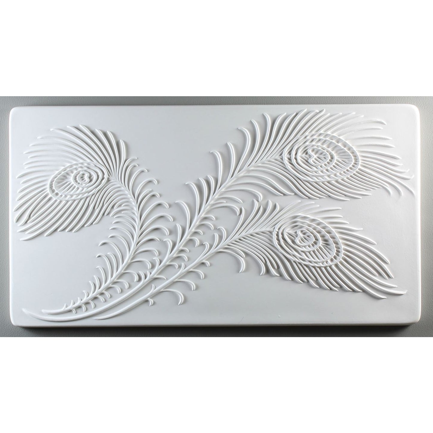 DT08 Creative Paradise Peacock Feathers Texture Mold